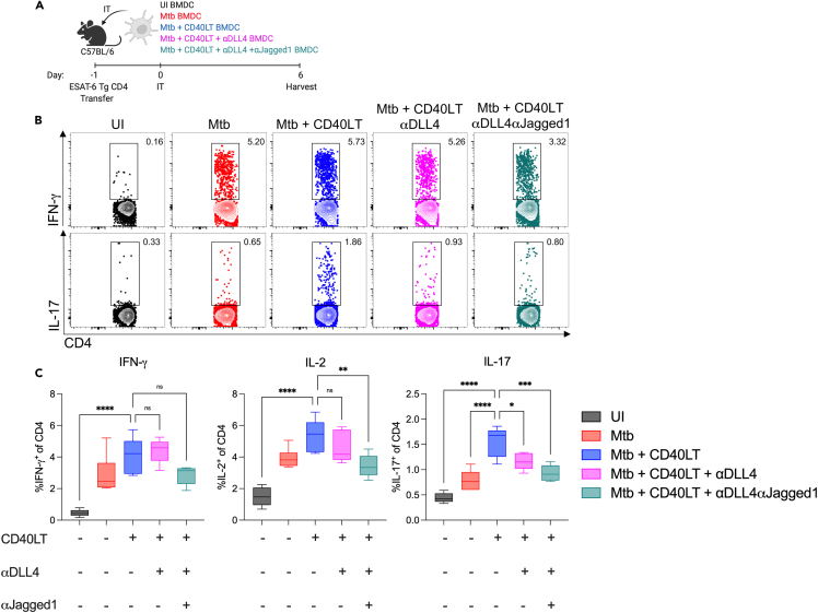 Figure 4