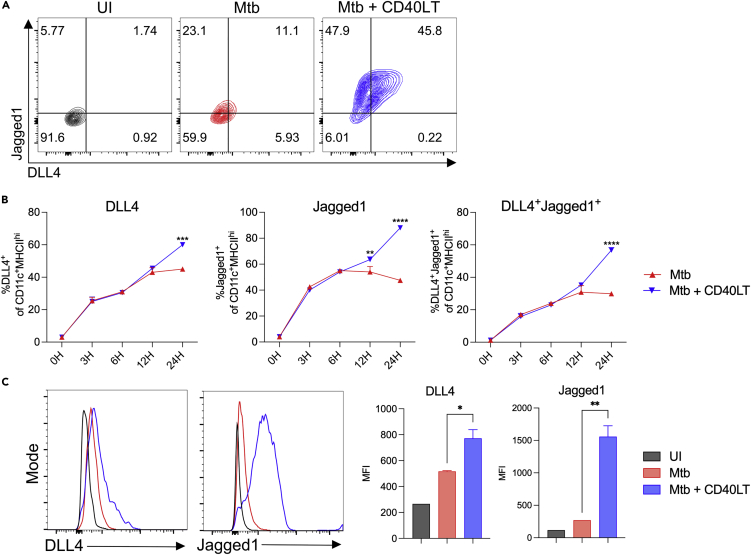 Figure 2