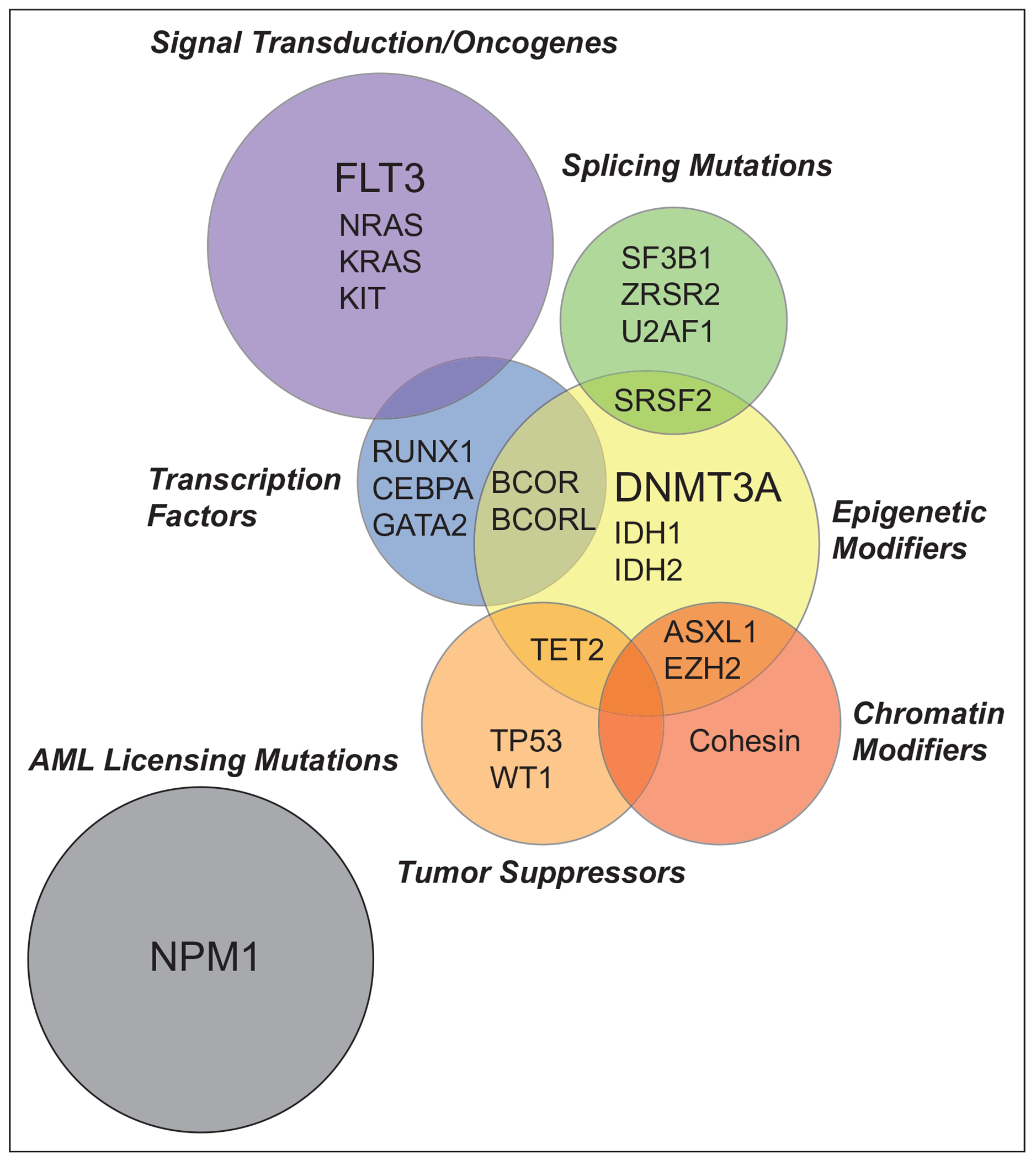 FIGURE 1.