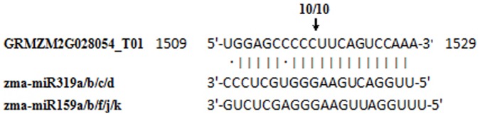 Figure 9