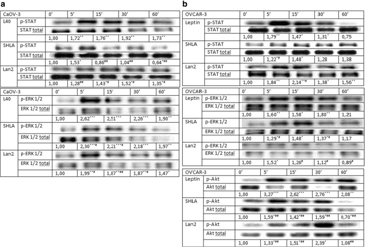 Fig. 6