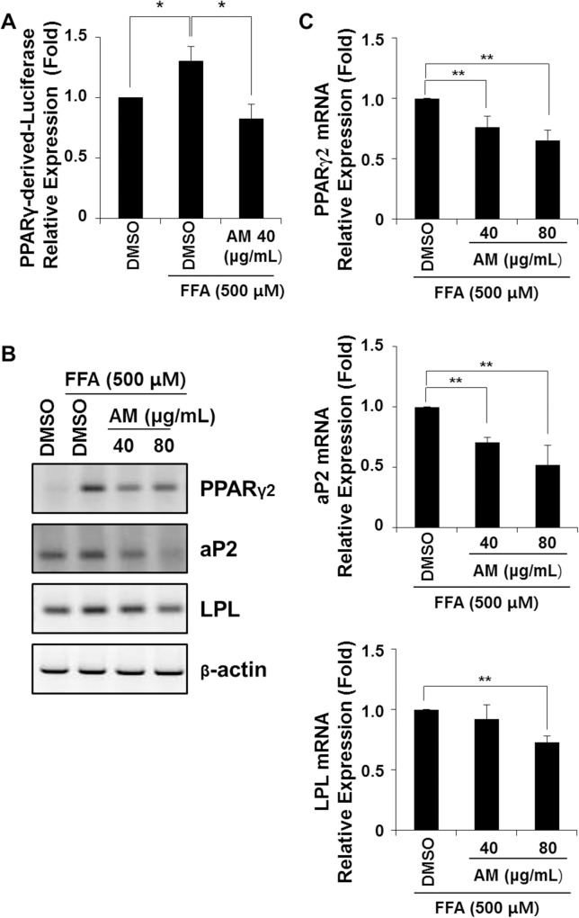 Fig 8