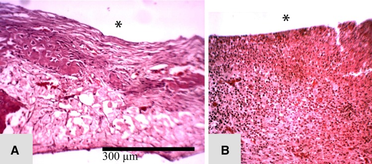 Fig. 4A–B