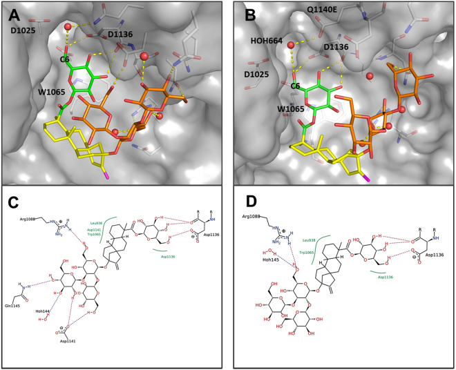 Figure 6