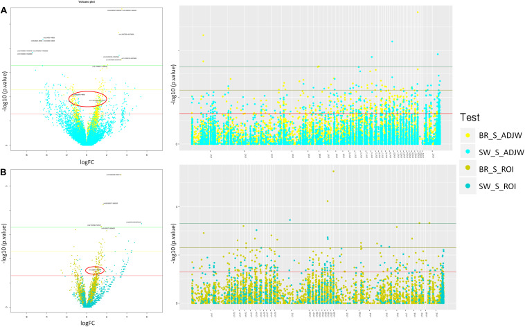 FIGURE 3