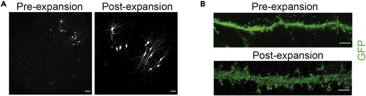 Figure 4