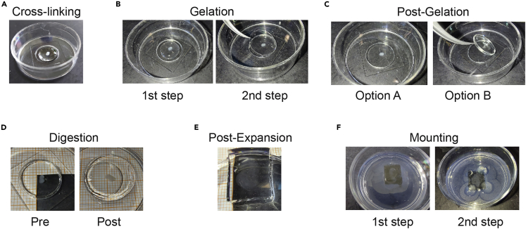 Figure 3