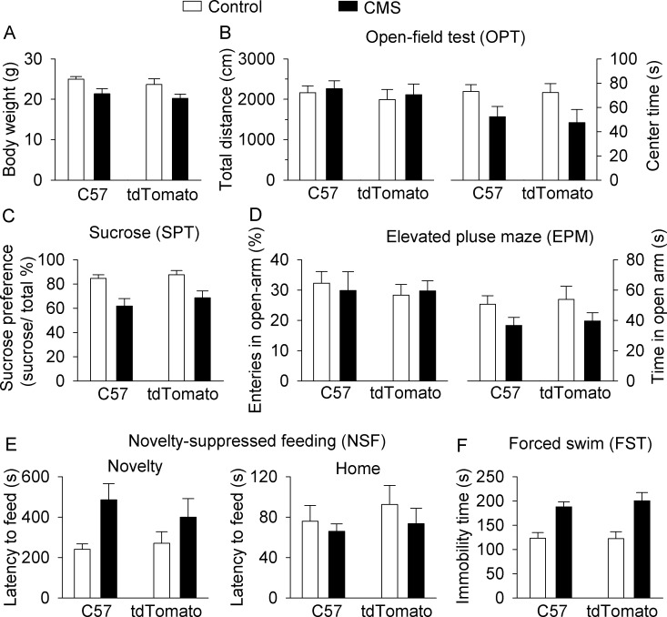 Figure 1—figure supplement 1.