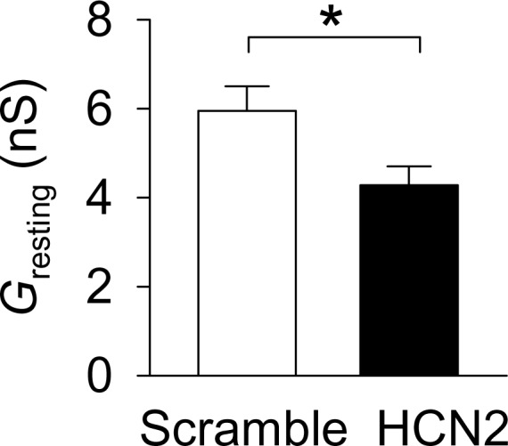 Figure 6—figure supplement 1.