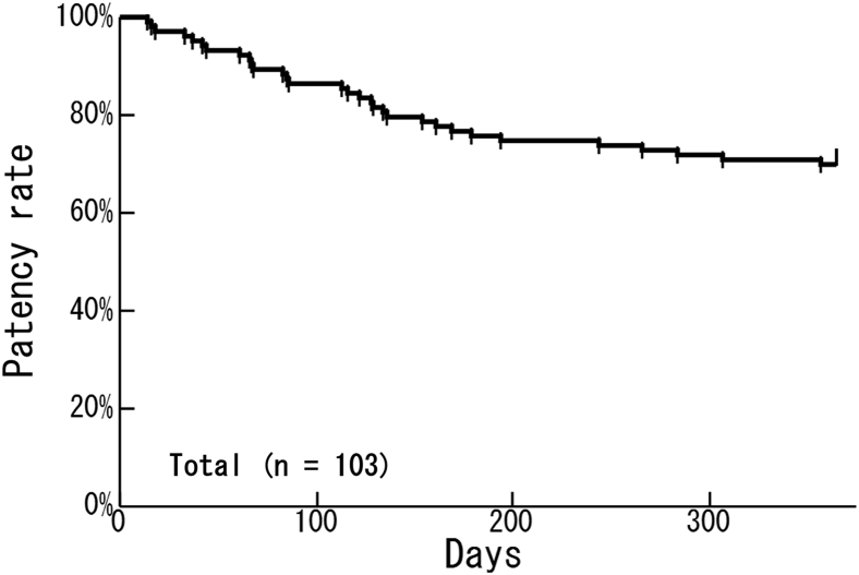 Figure 1