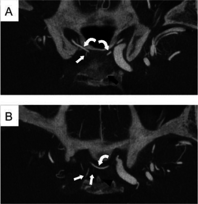 Fig 5