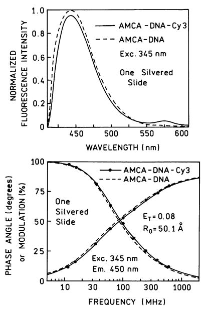 Fig. 12