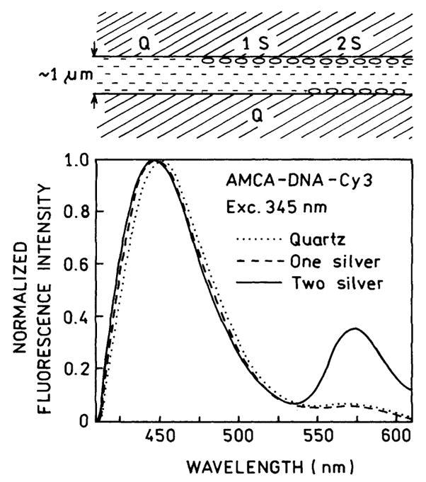 Fig. 11