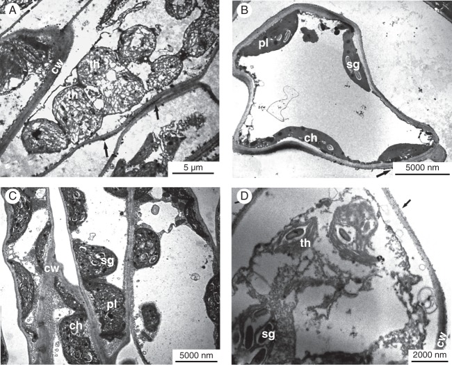 Fig. 3.