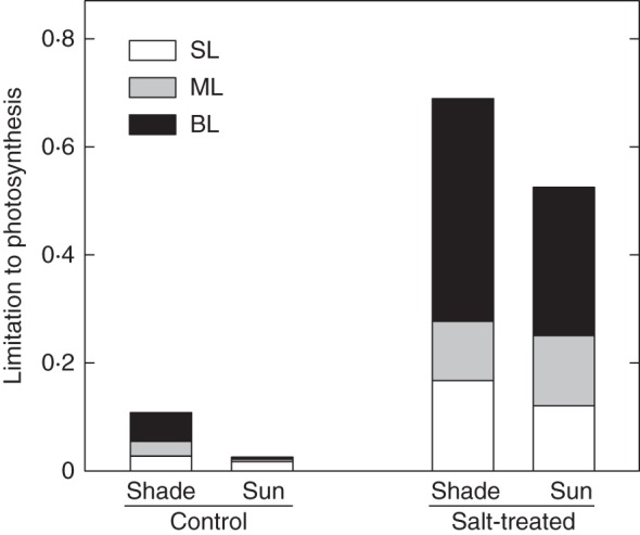 Fig. 1.