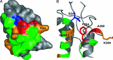 Fig. 3.