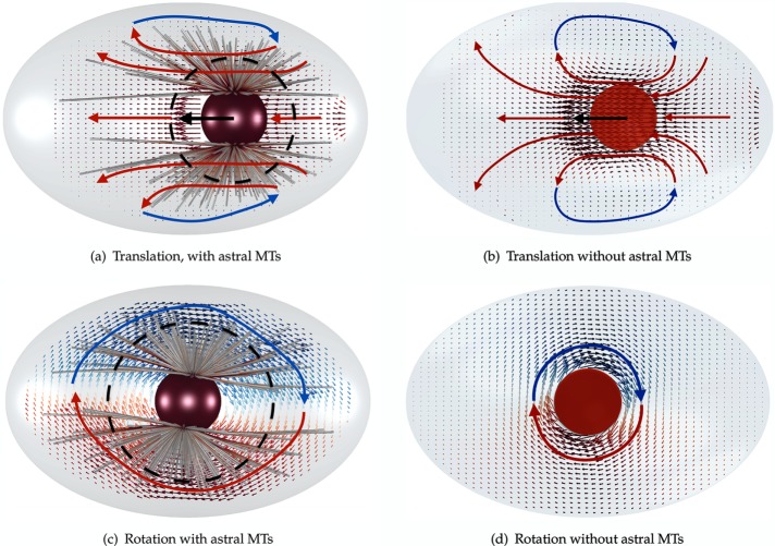 FIGURE 3: