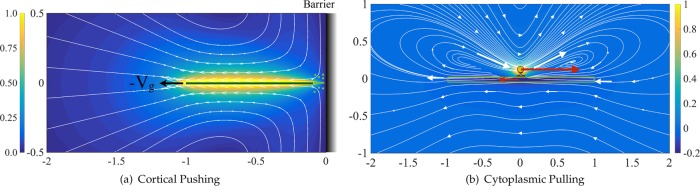 FIGURE 6: