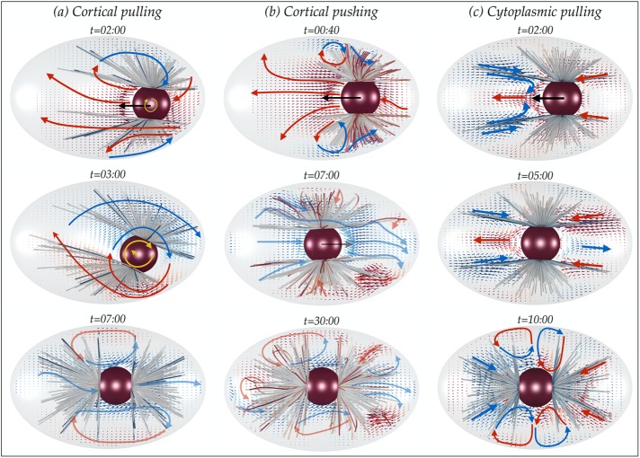 FIGURE 7: