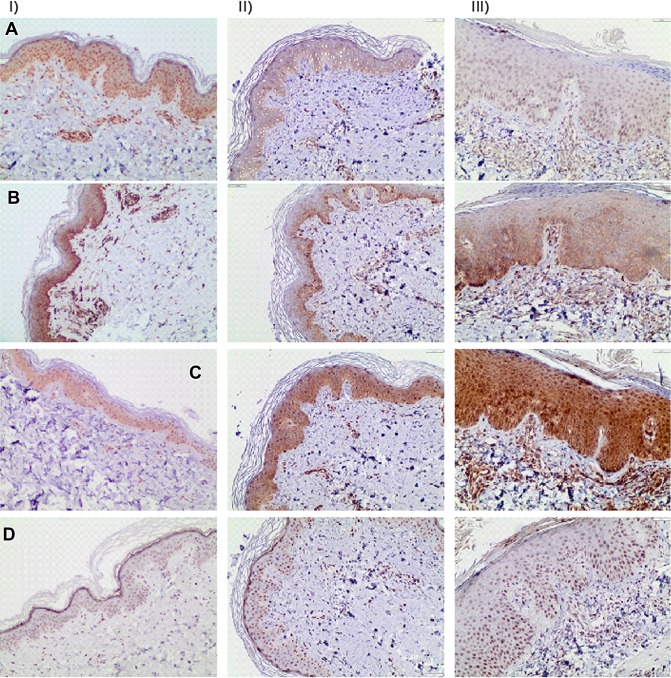 Fig. 4