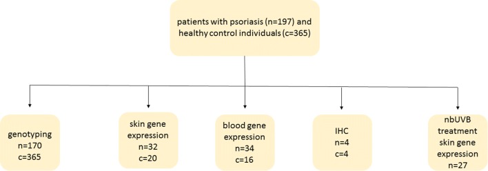 Fig. 1