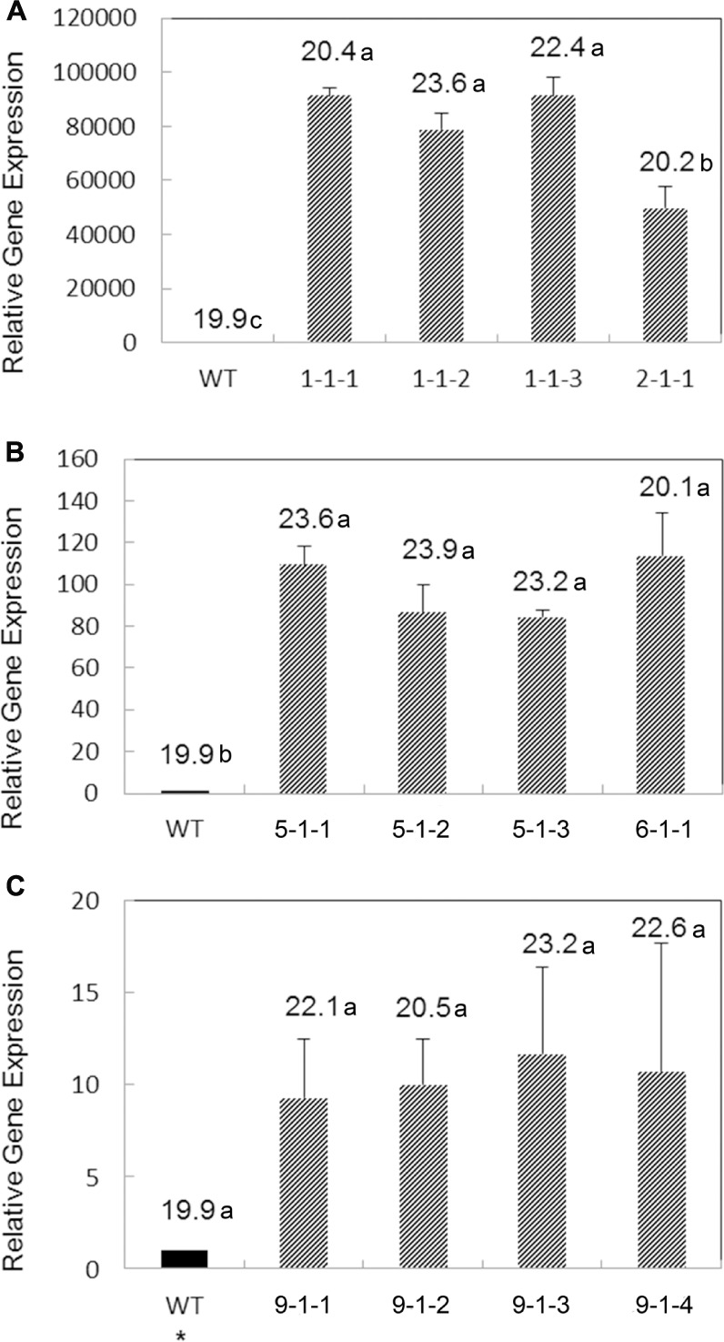 FIGURE 3