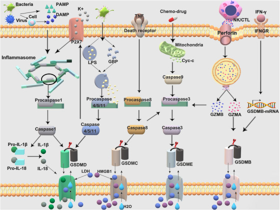 FIGURE 2