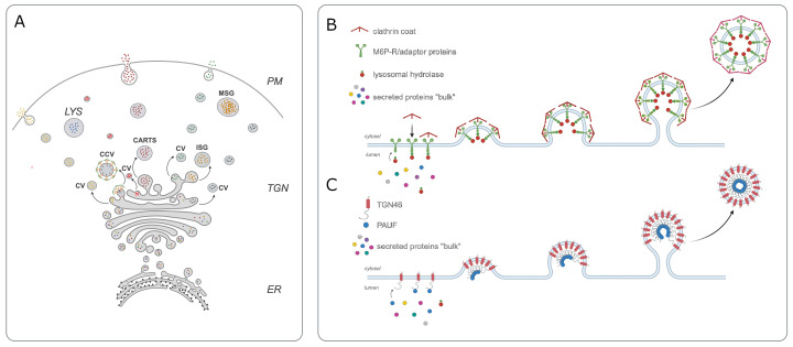 Figure 1.