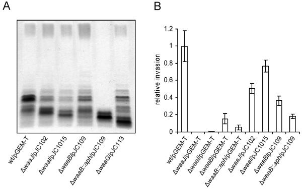 FIG. 5.