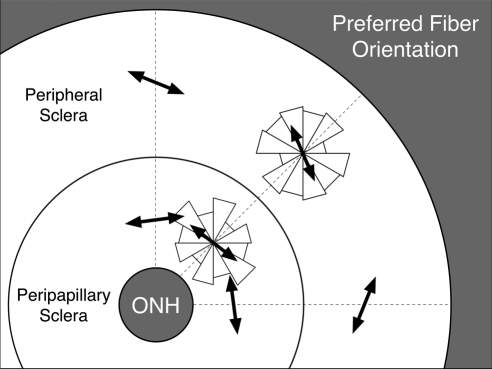 Figure 9.