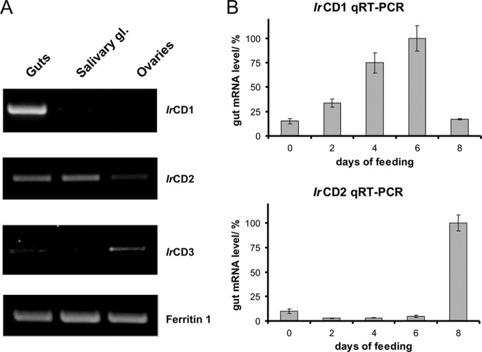 FIGURE 2.