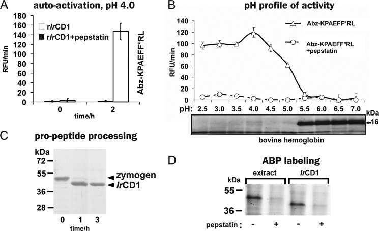 FIGURE 4.