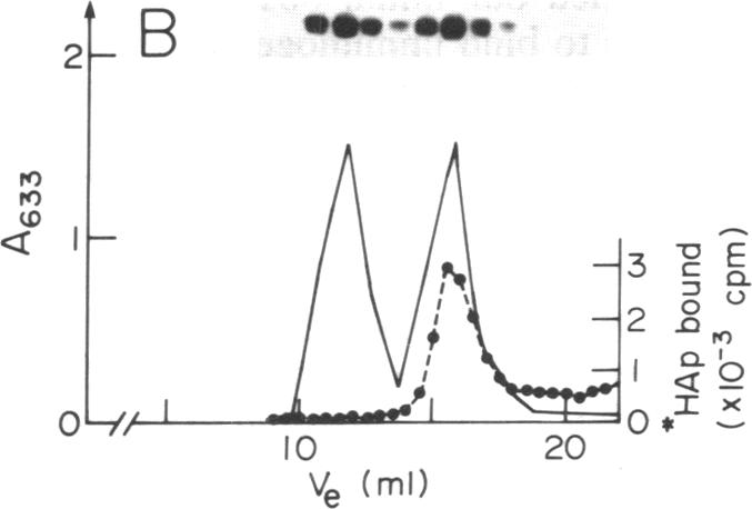 graphic file with name pnas01058-0195-d.jpg