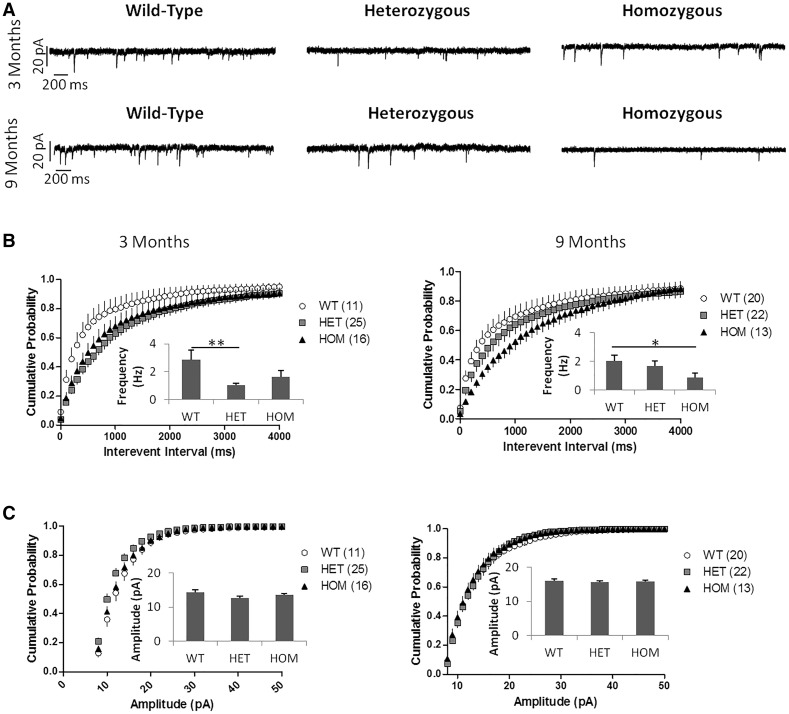 Figure 11.