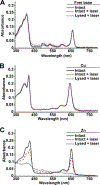 Figure 2: