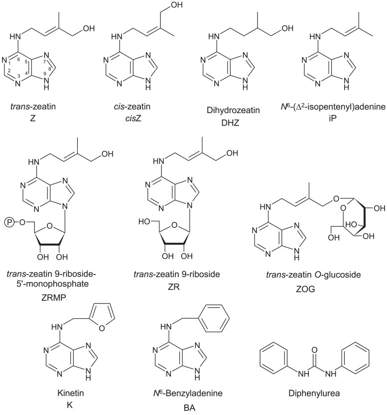 Figure 1.