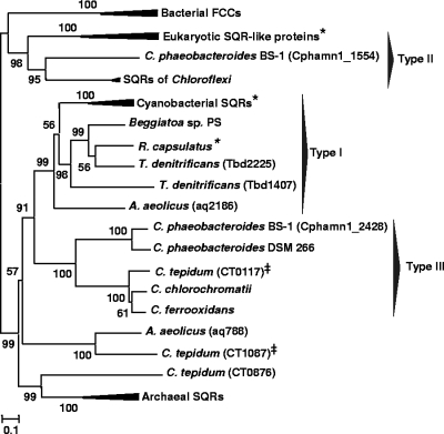 FIG. 5.