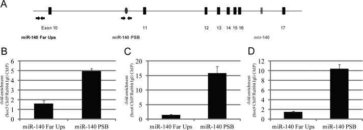 FIGURE 10.