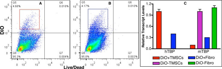 Figure 6