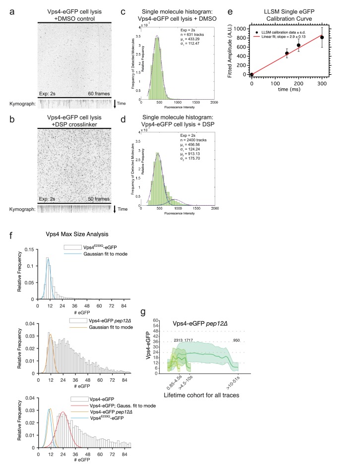 Figure 4—figure supplement 10.