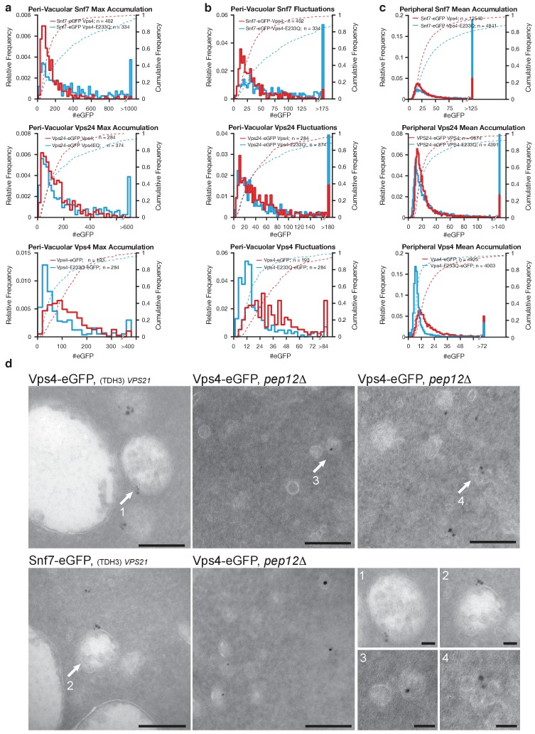 Figure 4—figure supplement 1.