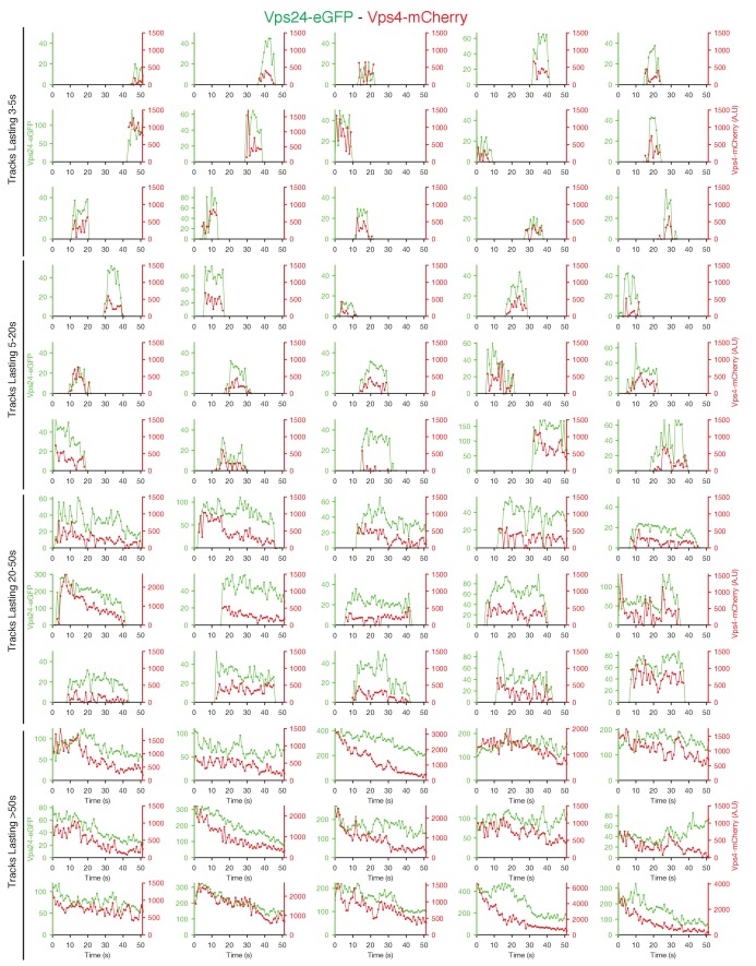 Figure 4—figure supplement 3.