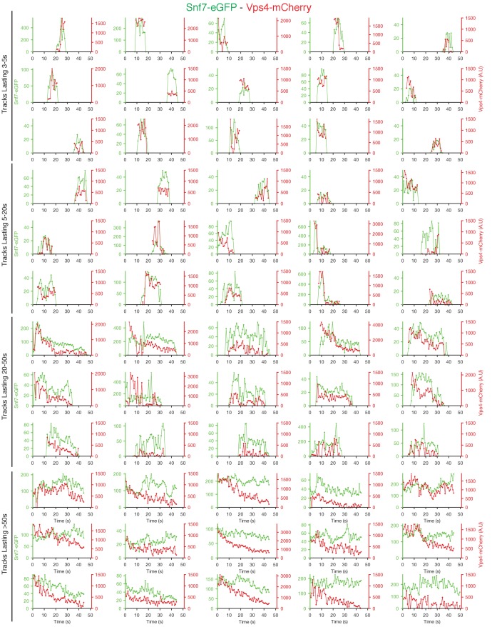 Figure 4—figure supplement 2.