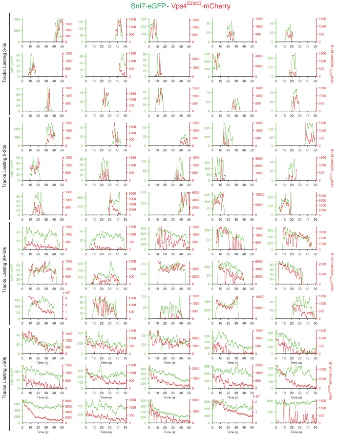 Figure 4—figure supplement 7.