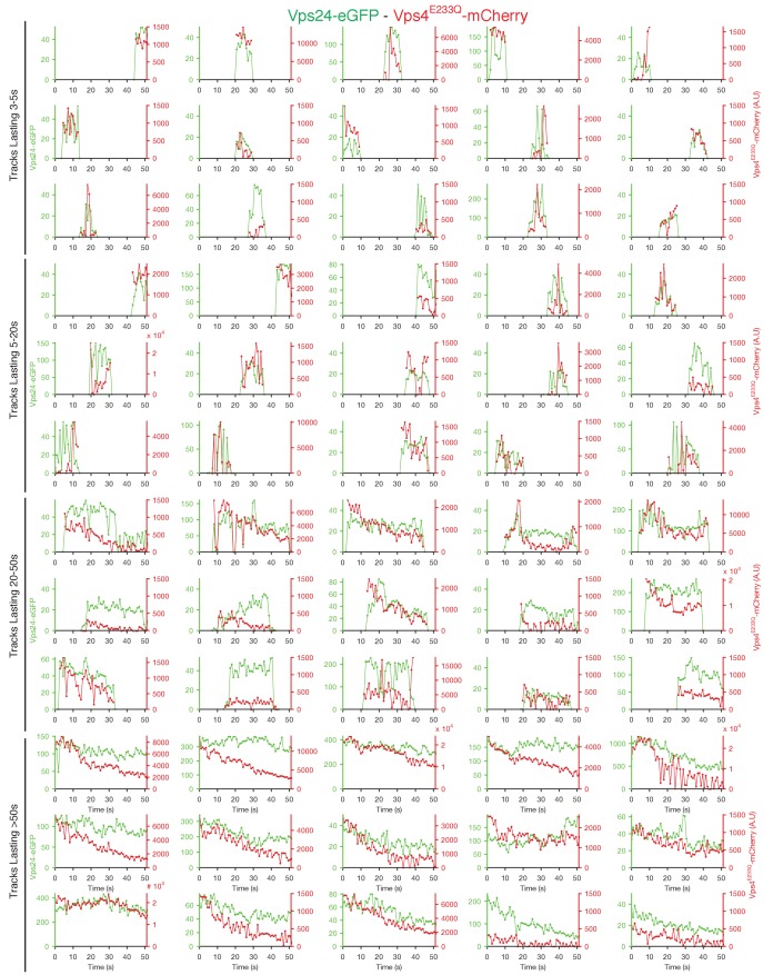 Figure 4—figure supplement 8.