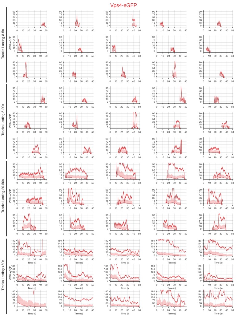 Figure 4—figure supplement 4.