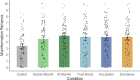 Mean Misinformation Reliance Across Conditions in Experiment 1.