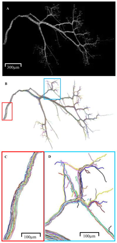 Fig. 4