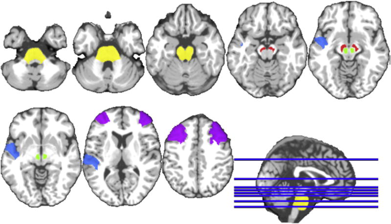 Fig. 9