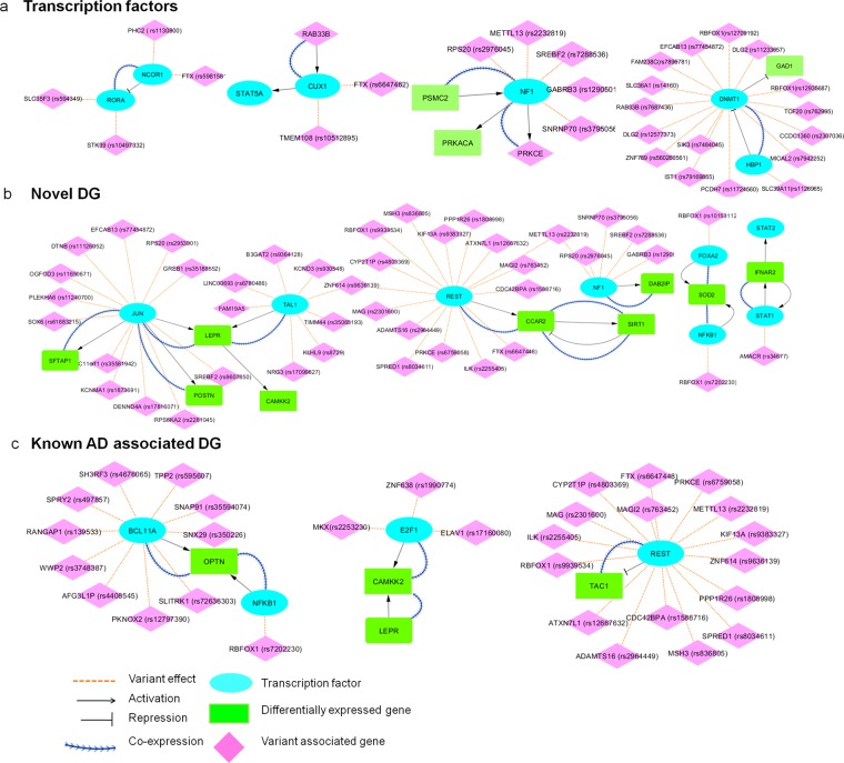 Figure 5